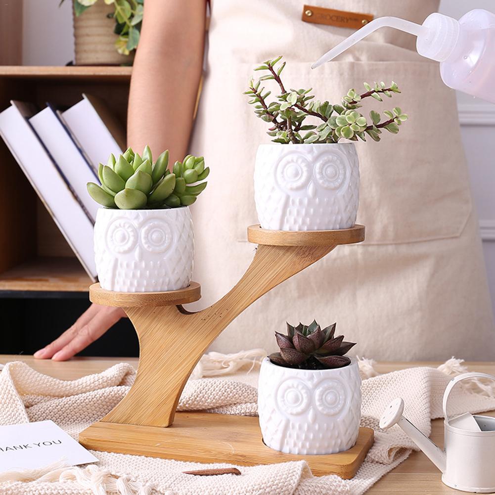 BambooSucculent – Keramiska Suckulentplanterare med Bambuställ