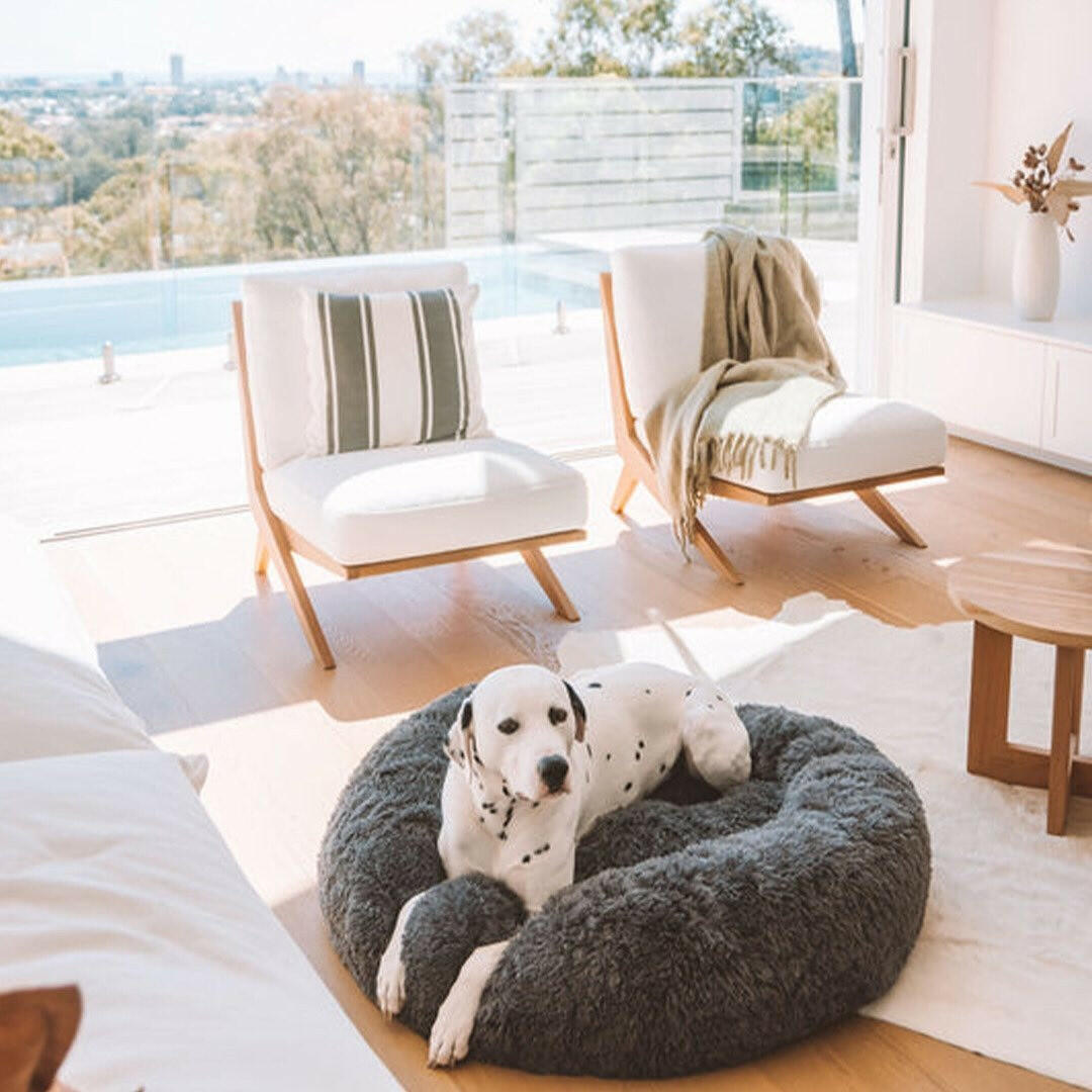 Donut Hundbädd – Mysig, Anti-Stress & Perfekt för Hundar och Katter