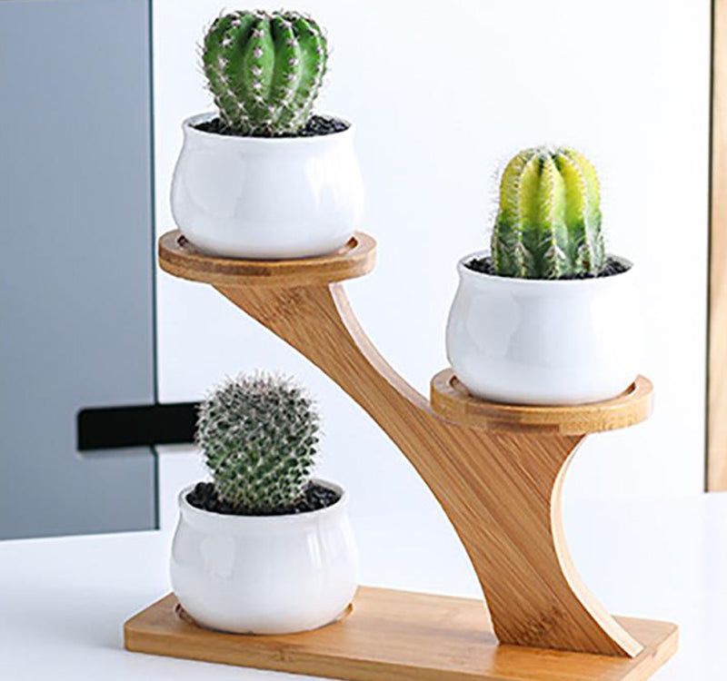 BambooSucculent – Keramiska Suckulentplanterare med Bambuställ