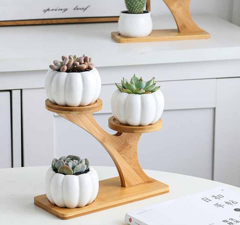 BambooSucculent – Keramiska Suckulentplanterare med Bambuställ