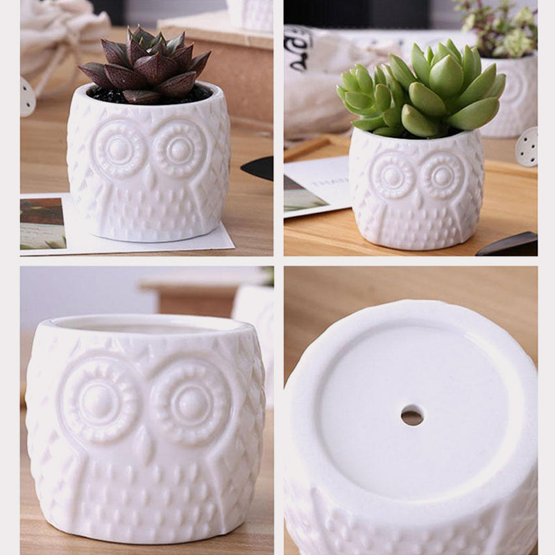 BambooSucculent – Keramiska Suckulentplanterare med Bambuställ