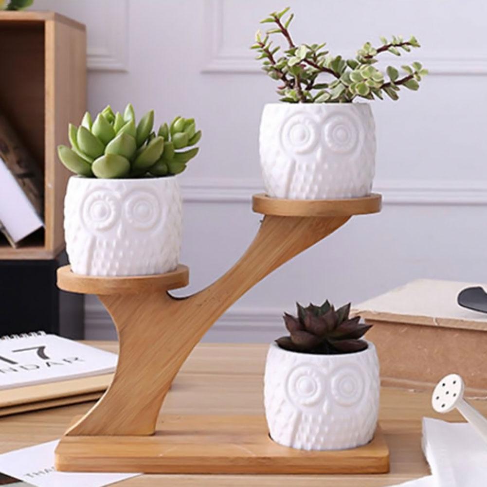 BambooSucculent – Keramiska Suckulentplanterare med Bambuställ