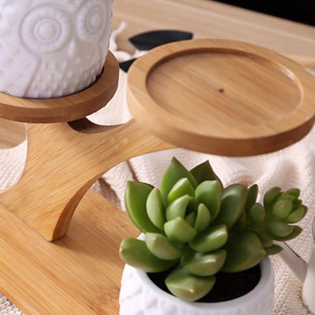 BambooSucculent – Keramiska Suckulentplanterare med Bambuställ