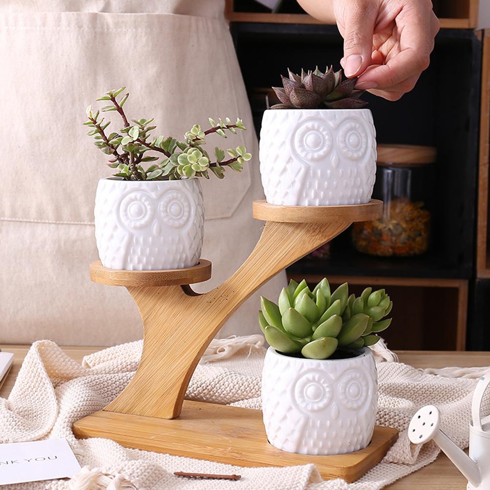 BambooSucculent – Keramiska Suckulentplanterare med Bambuställ