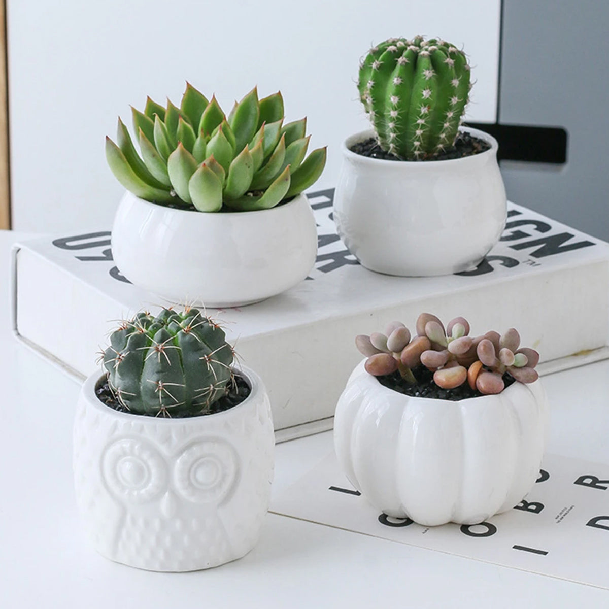 BambooSucculent – Keramiska Suckulentplanterare med Bambuställ