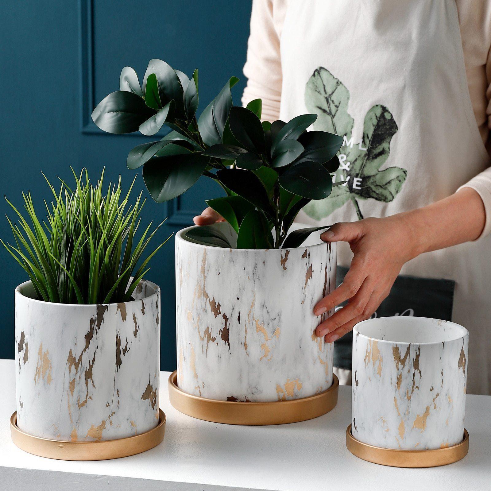 GoldenLab – Lyxig Planteringskollektion i Geometrisk Design